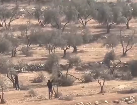 مقطع قطع الأشجار يعود للضفة الغربية وليس السويداء