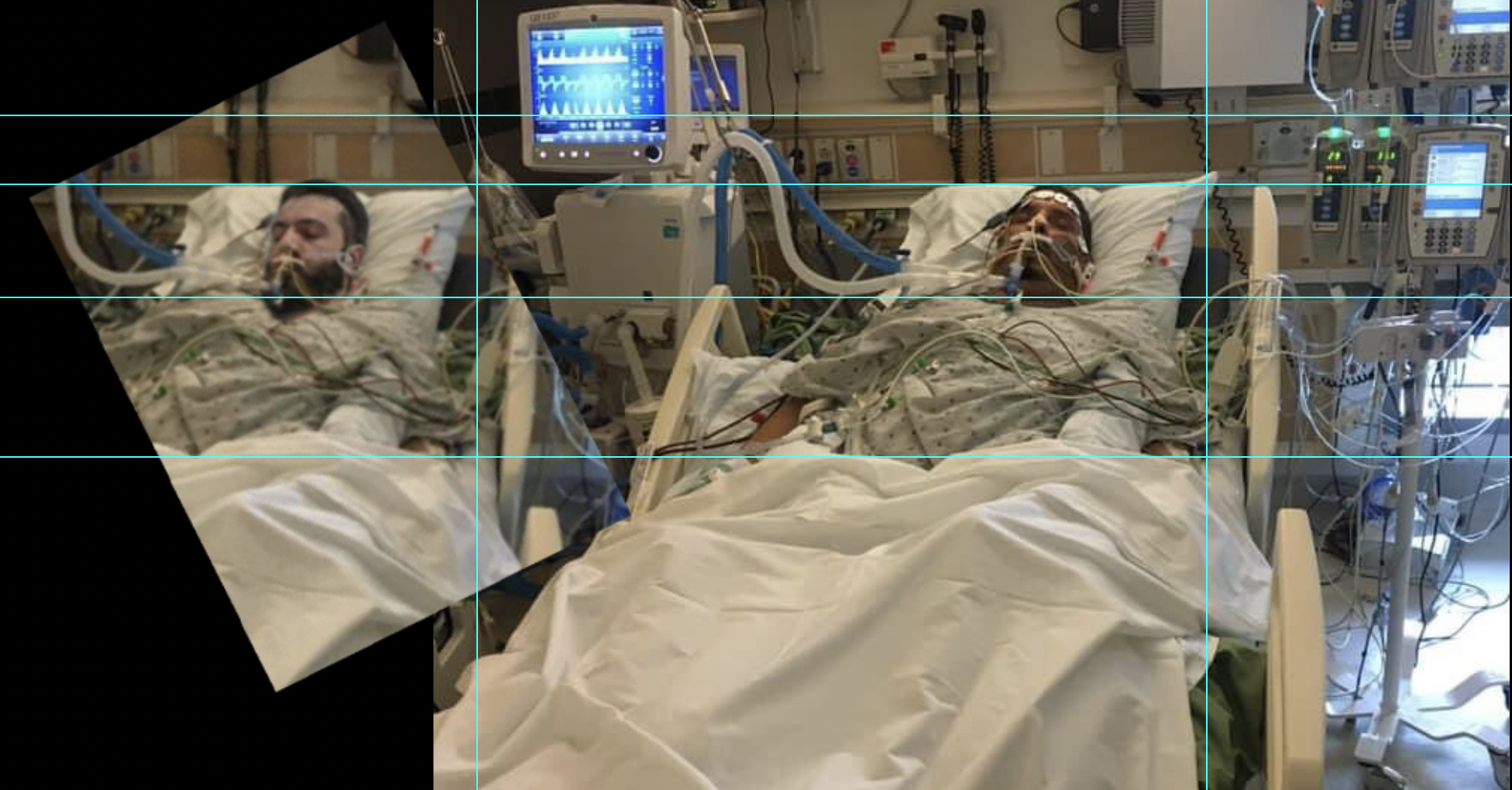 نظرية مؤامرة: حملة تعيد اجترار أنباء لا أساس لها عن اغتيالات في القصر