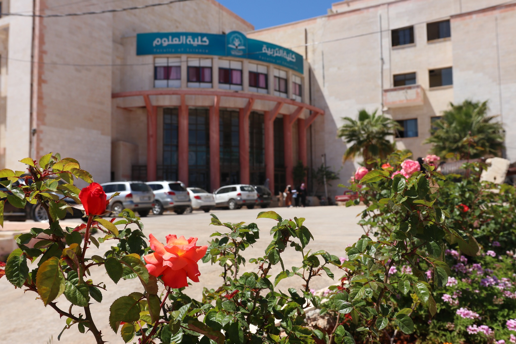 ما حقيقة دراسة "الهندسة الديموغرافية للمنتصر" لكلية التربية بجامعة إدلب؟