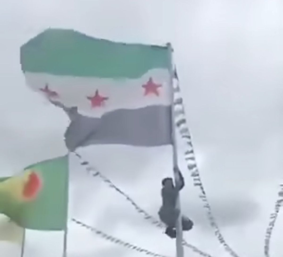 محدث: الداخلية تؤكد إلقاء القبض على المسيء للعلم السوري