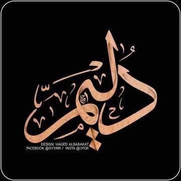 هيئة عشائر دليم