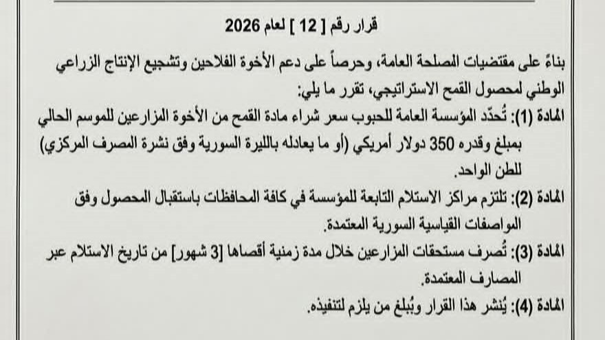 وزارة الزراعة السورية لم تحدد سعر شراء القمح بـ 350 دولار