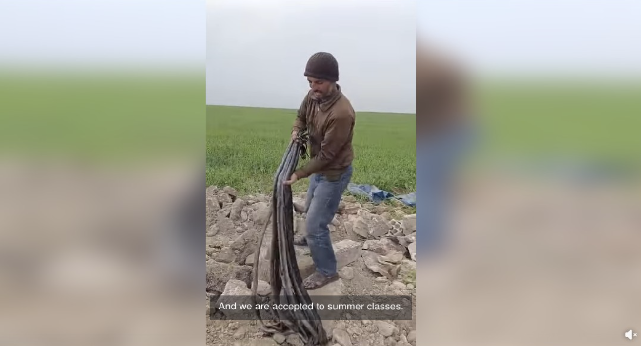 هل انتشرت الثعابين مجدداً في سهل الغاب؟