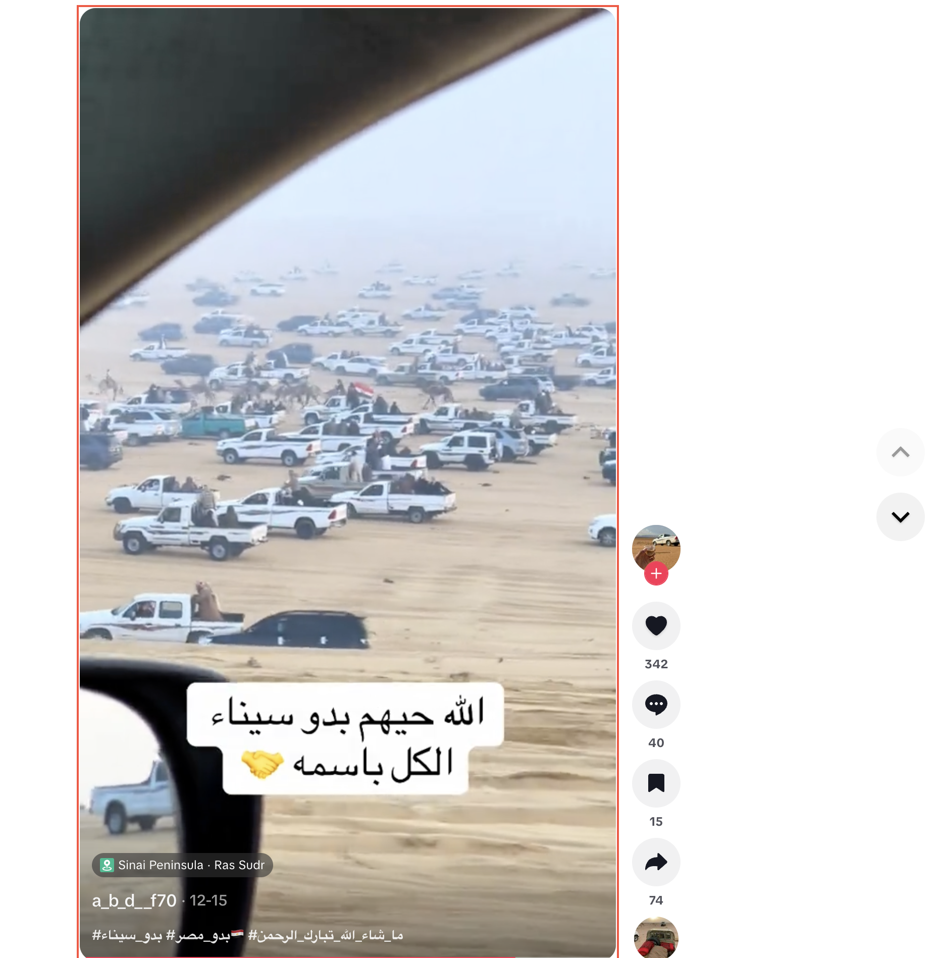 يظهر باللقطة أحد المشاركين يرفع العلم المصري