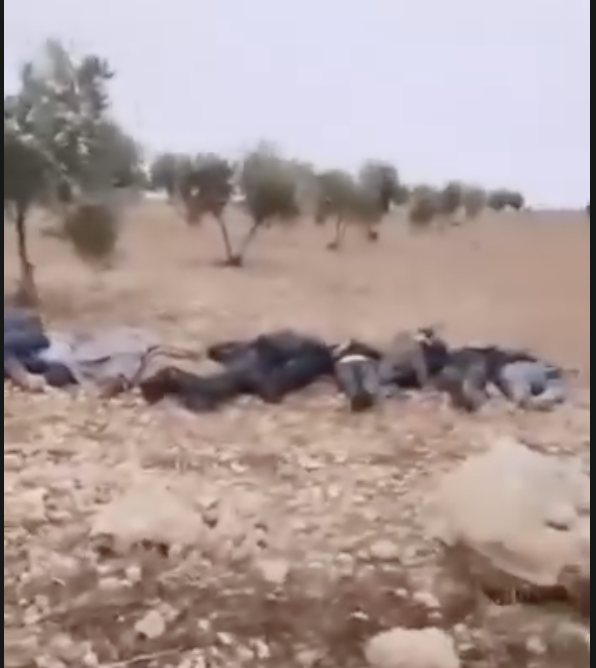 لقطة من المقطع النهاري