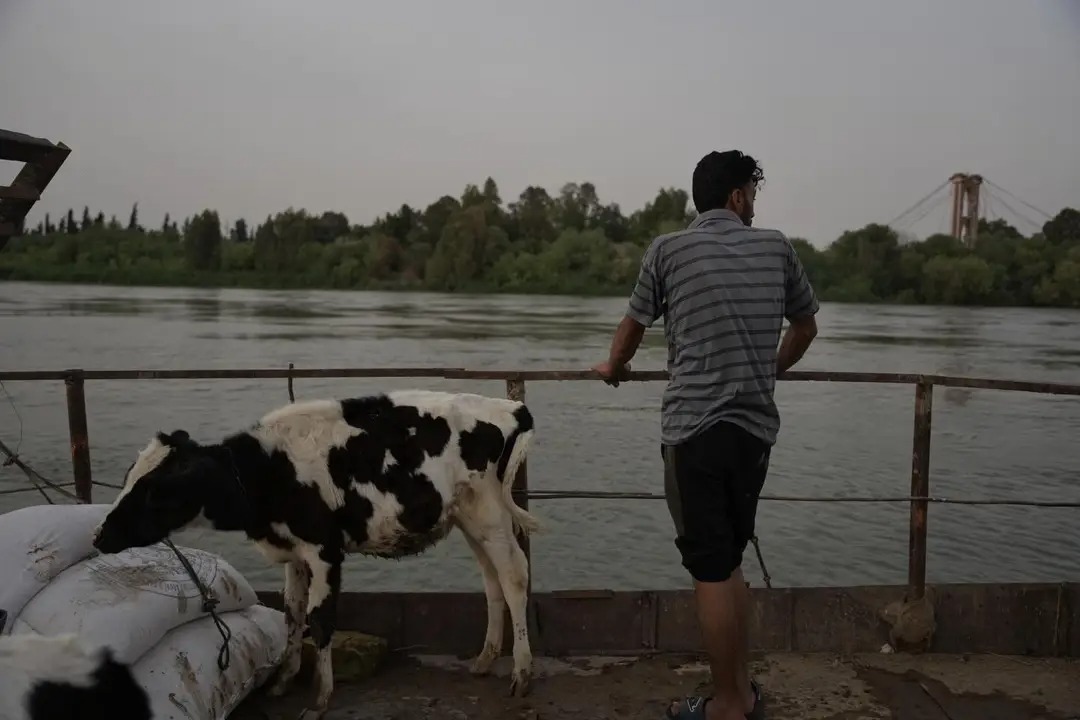 صور التقطها الصحفي عمر البم من مناطق الفيضان في دير الزور.