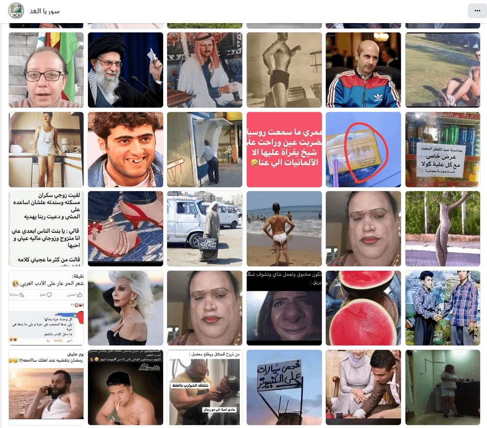 محتوى الصفحة قبل سقوط نظام الأسد