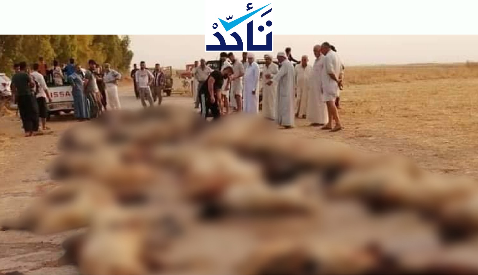 هذه الصورة في كركوك بالعراق وليست في سوريا