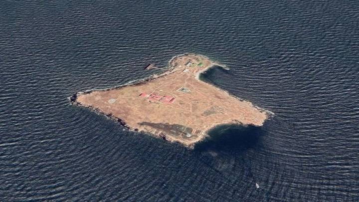 قصة حراس جزيرة الأفعى الأوكرانية.. للقصة بقية إن لم تروها وقعتم في فخ التضليل