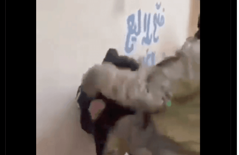 هذا المقطع لا يُظهر إلقاء القبض على أحد مشعلي الحرائق في الساحل السوري