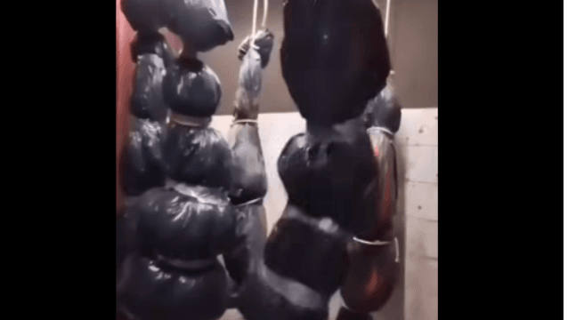 هذا المقطع لا يُظهر تعذيب المعتقلين داخل أقبية نظام الأسد