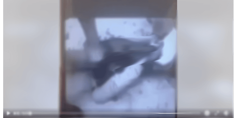 الفيديو ليس لنزع قلب شاب درزي على يد عناصر من السلطة السورية