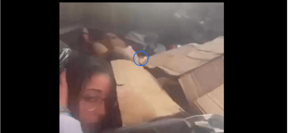 المقطع المتداول لنساء يختبئن بحاوية قمامة قديم وليس من السويداء