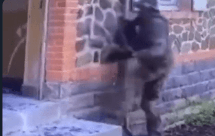 ما حقيقة الفيديو المنسوب لتدريبات "الحرس الوطني" في السويداء؟